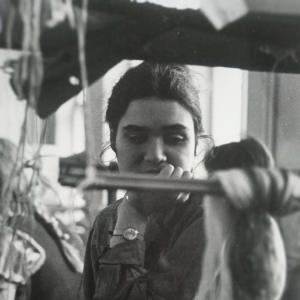  Ariadne Donner
