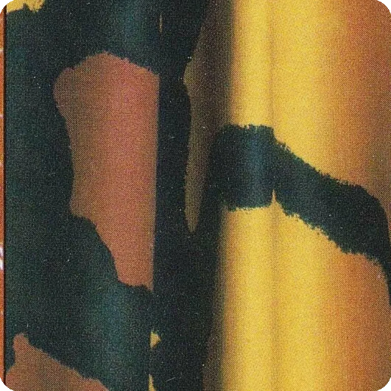 Solukko