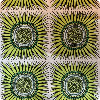 Helianthus