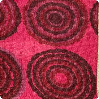 Villiruusu pinkki 2